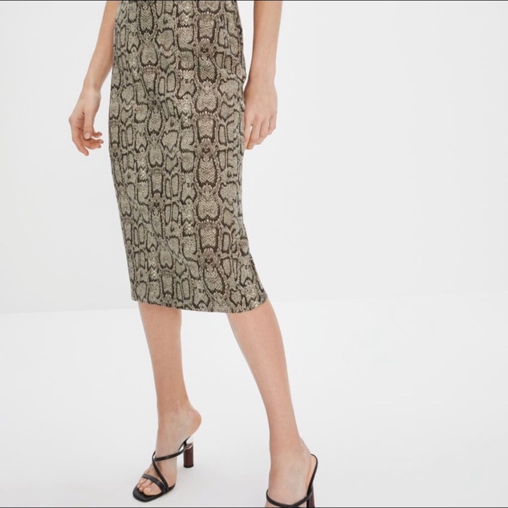Zara Pencil Skirt